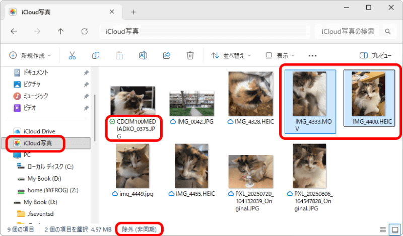 「iCloud写真」を使ってiPhoneに転送できるのはJPEGのみ。HEICとMOVは同期から除外されているのがわかる