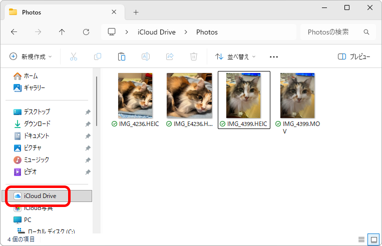 エクスプローラーの「iCloud Drive」内に転送したい写真と動画を移動する。このMOVはLivePhotesの動画だ