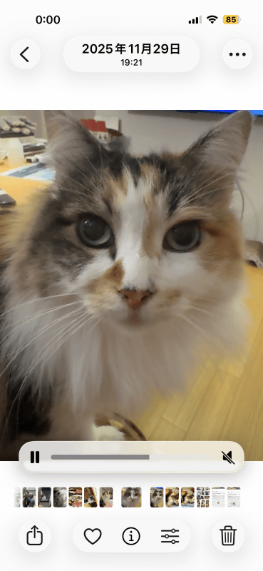 LivePhotosは動画と静止画に分けられLivePhotosとしては認識されない。動画を再生してみている