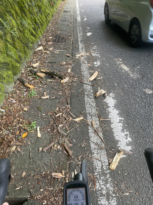 場所によっては路側帯に木の枝や砂利がたまっている場所も。こういう場所はパンクの恐れもあるし、太い枝を踏むと転びそうになって怖い