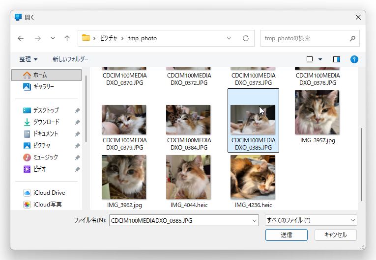 ファイル選択画面で、送信したい写真や動画を選択し［送信］をクリック