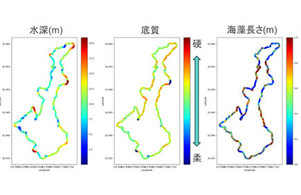野島沿岸海域の水深・底質・藻高さ分布