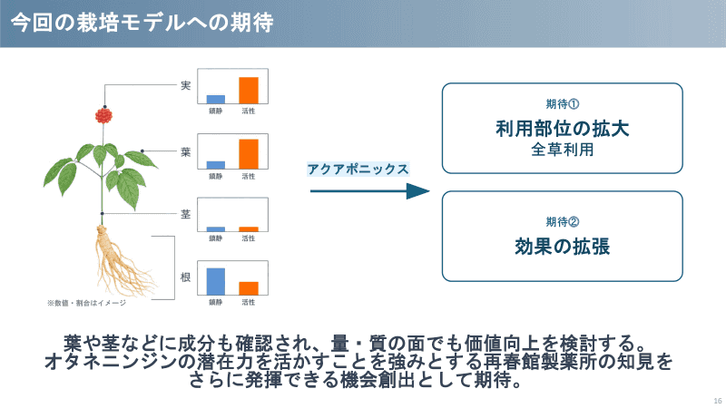再春館製薬所が考える今回の実証への期待。従来使われない葉や茎に含まれる成分も有効活用可能とみられている