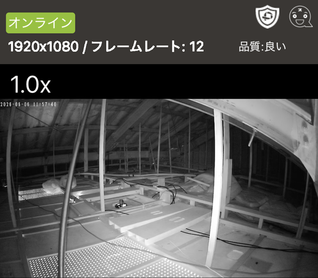 屋根裏の監視用カメラ映像。動体検知で映るのは今のところ蛾だけ