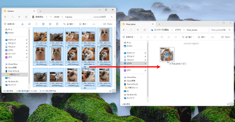 「Camera」にはカメラで撮影したデータが入っている。任意のフォルダーにドラッグ&ドロップでコピー