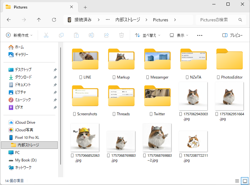ほかの「内部ストレージ」内のフォルダーもコピーしておこう。「Pictures」にはスクショやLINEで受信した画像などが保存されている