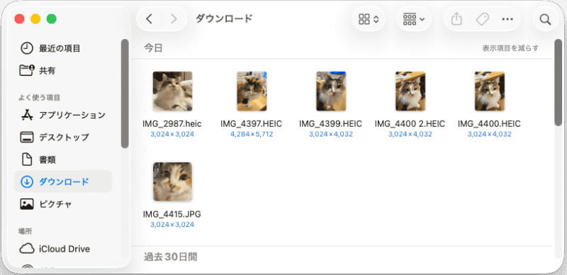 Mac側では自動的に「ダウンロード」フォルダに保存される。HEICの場合そのまま保存される