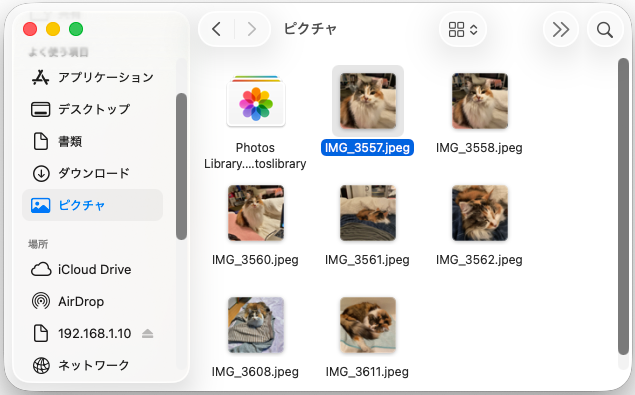 ペーストされた。HEIFはJPEGに変換される