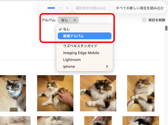 iPhoneバックアップ用に判別しやすいようにアルバムを作っておこう。［アルバム］で［新規アルバム］を選択