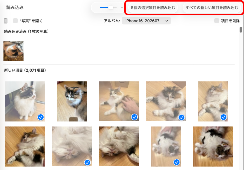 バックアップは必要な写真や動画のみを選択してもいいし、［すべての新しい項目を読み込む］ですべて読み込んでもいい