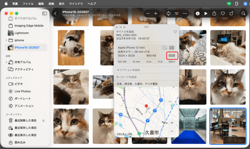 「i」アイコンをクリックすると情報が表示される。HEIFフォーマットのまま変換されずに転送されていることがわかる