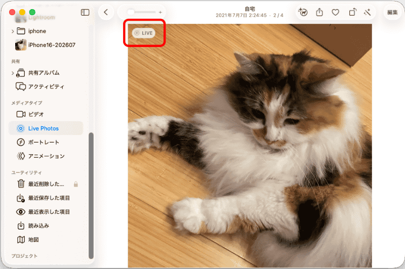 LivePhotosは、詳細表示でiPhoneと同じ「LIVE」アイコンが付いて判別できる。この「LIVE」アイコンにマウスオンすることでショート動画が再生される