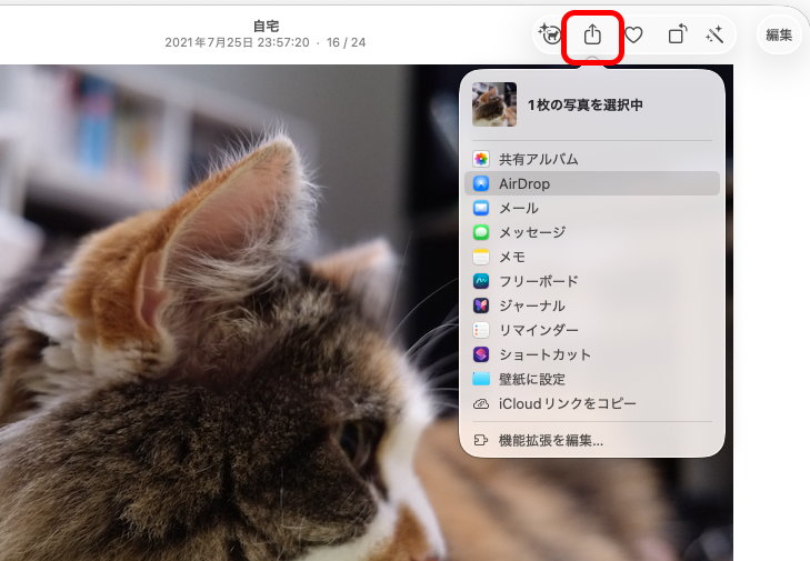カットを別の用途で使いたいときには、共有アイコンから利用する