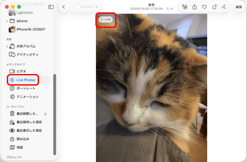 iPhone同様に「メディアタイプ」で「LivePhotos」のみを表示させることができる。左上に「LIVE」と表示され、マウスオンでショート動画が再生される