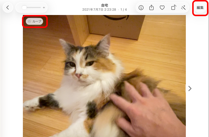 iPhone側で「ループ」に設定した写真も、設定が保持されて転送される。右上の［編集］をクリック