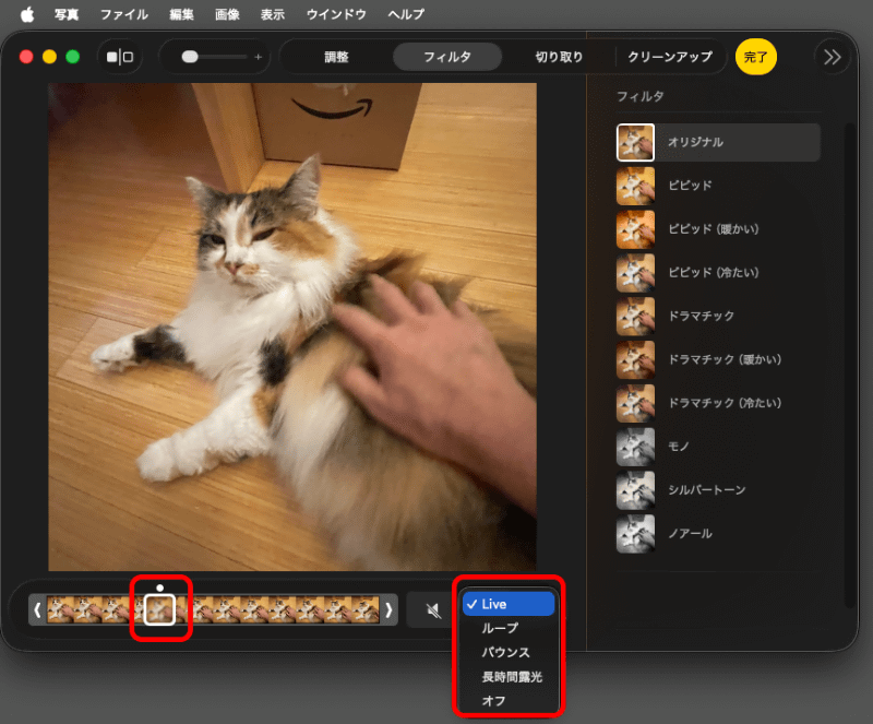 LivePhotosを設定し直すことも可能。左側ではキー写真の設定もできる
