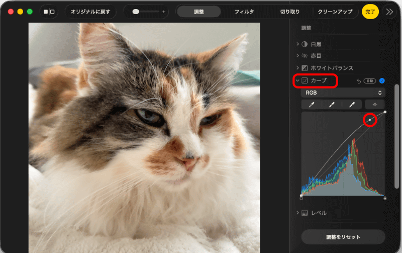 ［調整］タブで［カーブ］を開いてみる。少し暗かったら、このように右上にポイントを作りカーブを上げてみるとよい