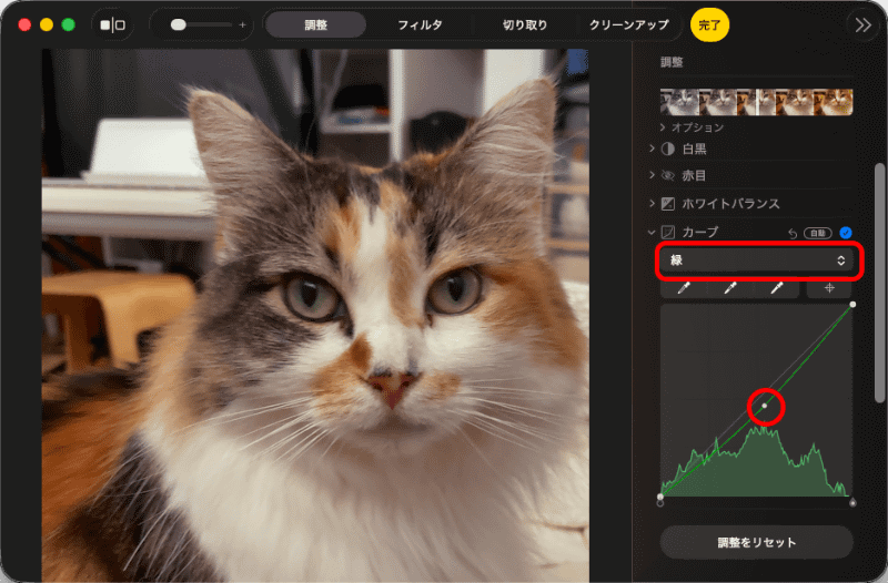 カーブの中心をわずかに下げると修正できる