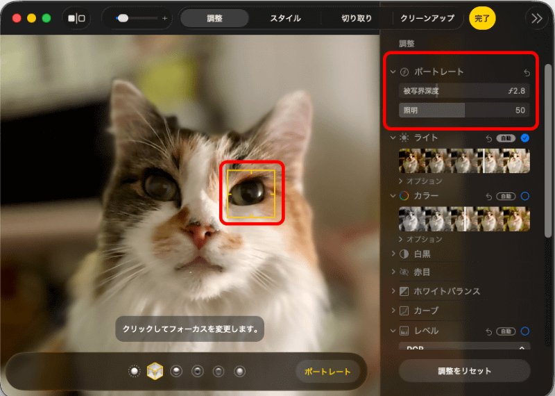 「ポートレート」撮影の設定もそのままだ。被写界深度とフォーカス、ライティングの再設定ができる。被写界深度は、数値を小さくするとフォーカスから外れた部分のボケ量が大きくなる