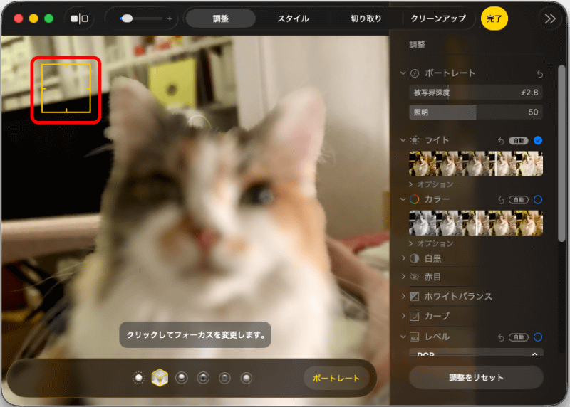 フォーカスを背景に持って行くと、被写体がボケる