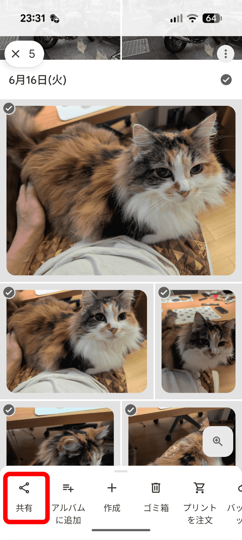 Androidの「フォト」アプリなどで転送したい写真や動画を選択した状態にし、共有ボタンをタップ