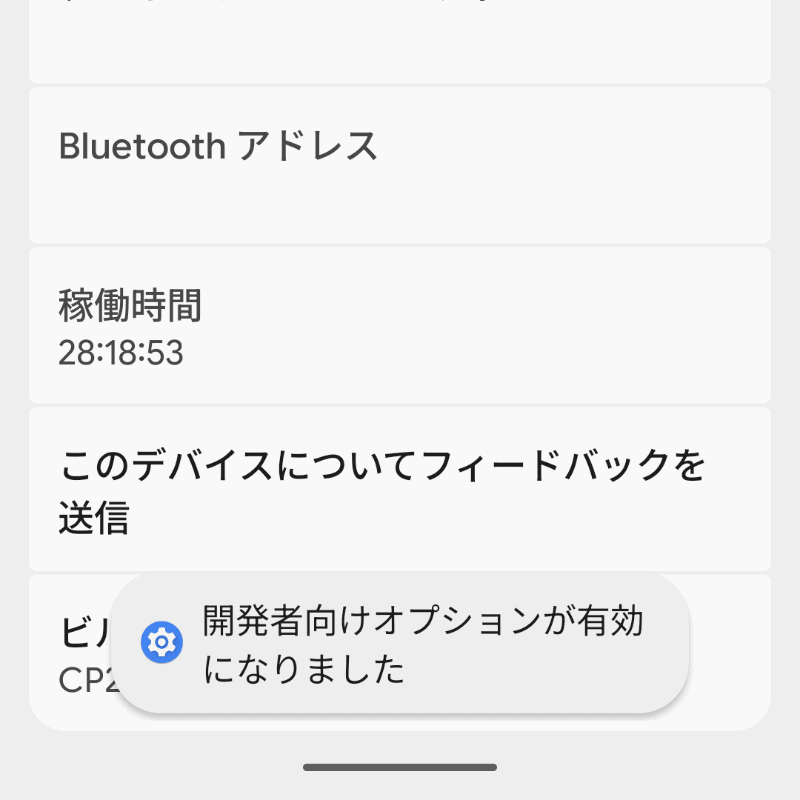 7回連続でタップすると、「開発者向けオプション」が有効になる