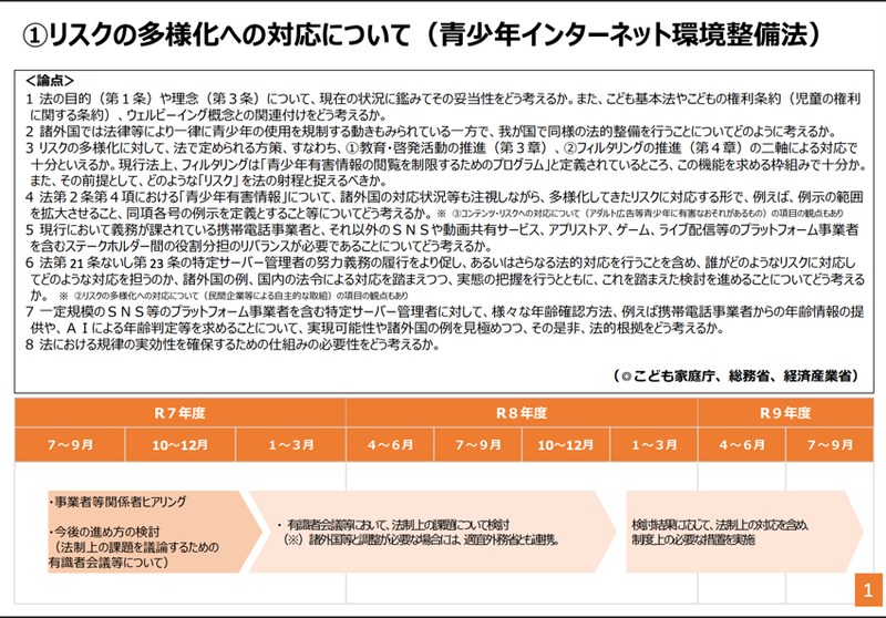 （インターネットの利用を巡る青少年の保護の在り方に関する関係府省庁連絡会議<a href="https://www.cfa.go.jp/assets/contents/node/basic_page/field_ref_resources/7dadddf3-2ee9-429e-bdf0-c0be0331df0b/51b66c60/20260303_councils_internet-kaigi_7dadddf3_02.pdf" class="strong bn" target="_blank">「課題と論点の整理」に基づく工程表フォローアップ</a>より）