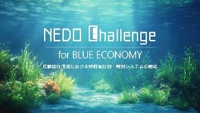 （上段・左から）UMIAILE、スペースワン、ALANコンソーシアム、（中段・左から）ロボティクスセーリングラボ、Nōka.AI、NEDO、（下段・左から）アイエスイー、マリンオープンイノベーション機構／静岡市、ポテンシャライト