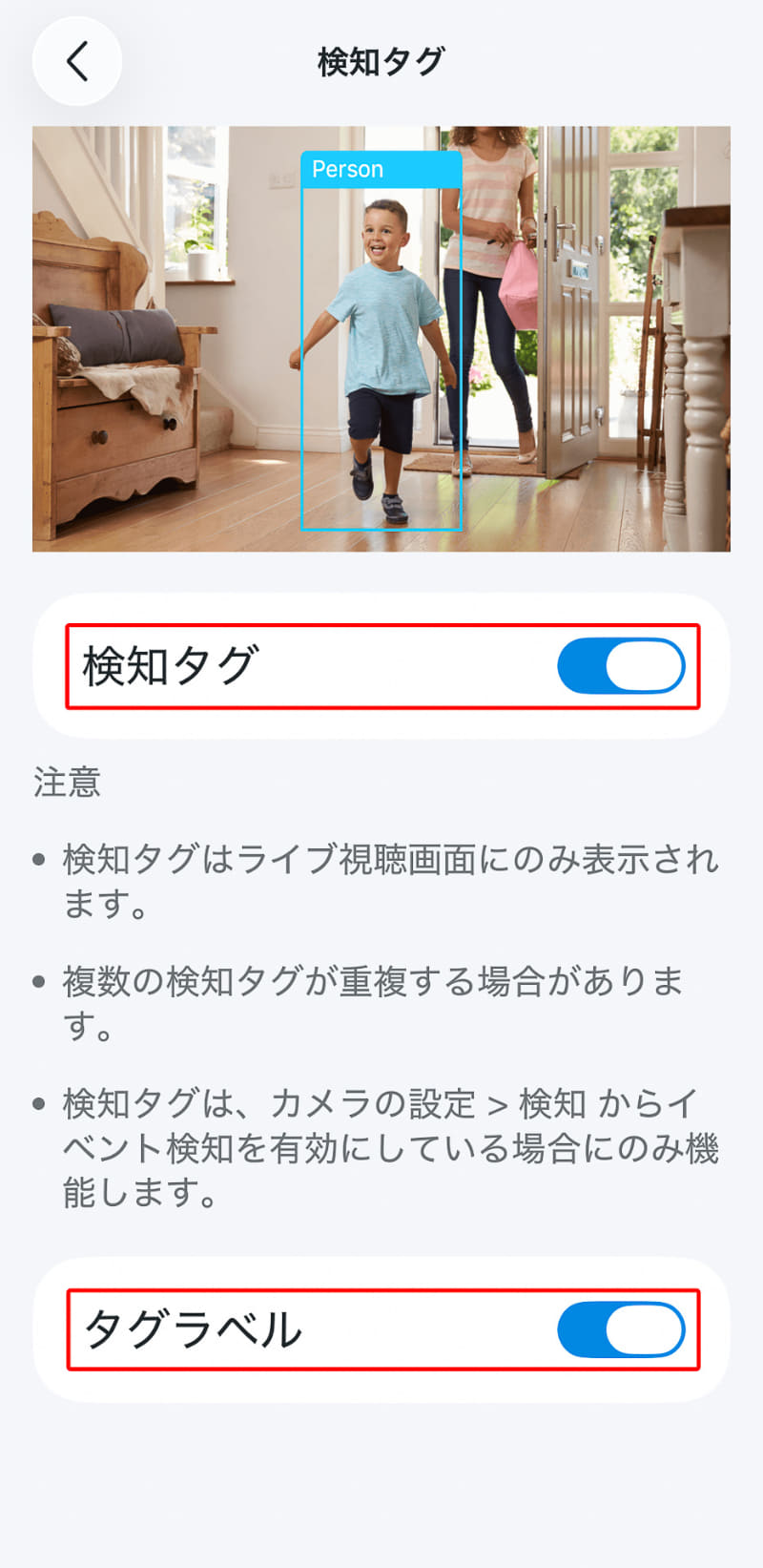 検知タグをオン、タグラベルもオンにすると検知対象に人物、車両などと表示される