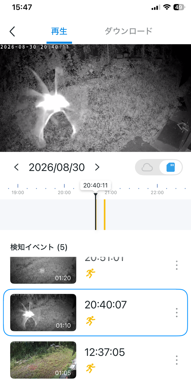 人以外に映ったのは蛾