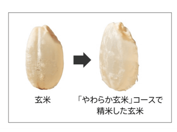 タイガー、玄米をふっくら食べやすく精米する無洗米機能付き精米器 - 家電 Watch