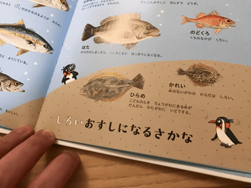 941のイクメン徒然】お寿司大好きパパ必見! 親子で学べる絵本「おすし