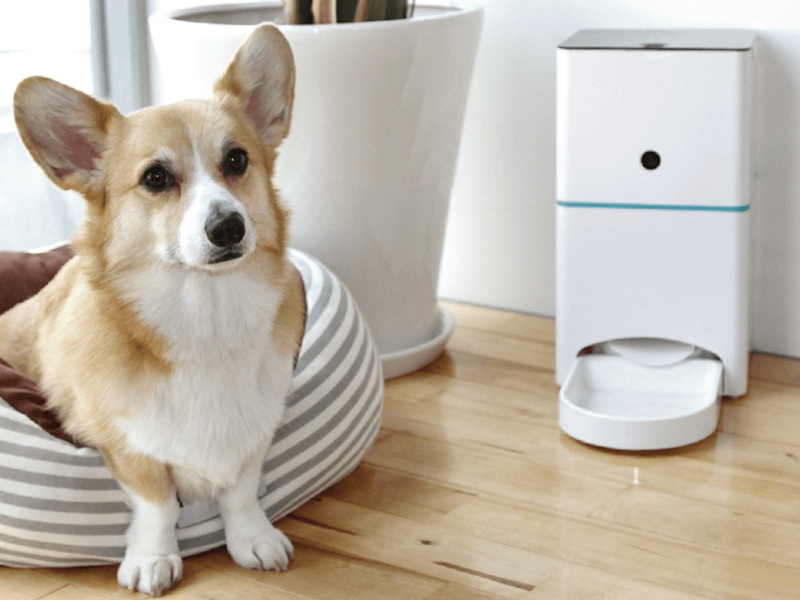 カメラ付き自動給餌器「ハチたま」