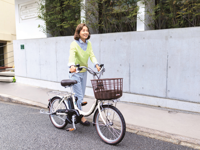 足がつきやすくまたぎやすい低床U型フレームを採用した20型モデル「PAS SION-U(パス シオン ユー)」