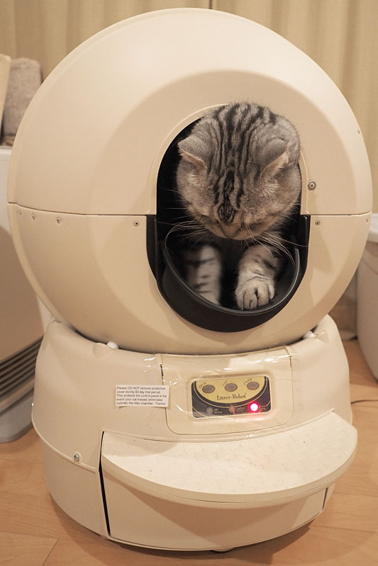 ちなみに、1台で最大3匹までの猫が使用できるそうです。1匹あたりの体重は2.2kg以上。2.2kg未満の体重だとセンサーが正常に反応しないとのこと。「とろ」は約7kgなので問題ありません