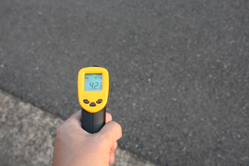 日が当たるところだとお風呂並みの42℃もあり、まだまだ散歩は控えたほうがよさそう