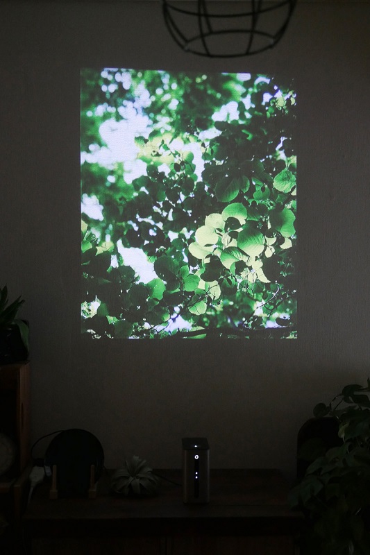 窓のない部屋に突然緑の窓が。爽やかな気分に