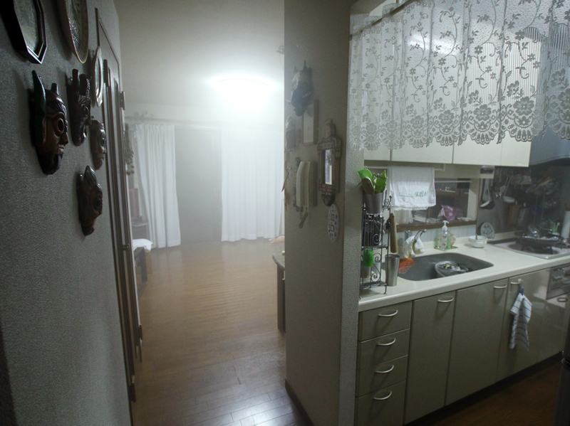 奥の廊下はやや薄いがスモークが回り込んでいる。またキッチンにも回りこんでいることがわかる。どうやら壁伝いに回り込むようだ