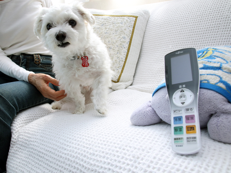 リモコンには温度センサーが内蔵されているので、本体から離れた場所にリモコンかけをつけたり、手元に置いておくといい