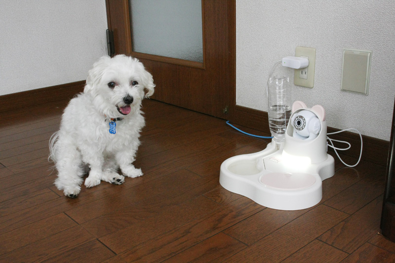 今回紹介するリモカ2は、水飲み器一体型ネットワークカメラ。外出先からでもペットの様子を確認できるだけでなく、声かけやしつけまでできるスグレモノ！