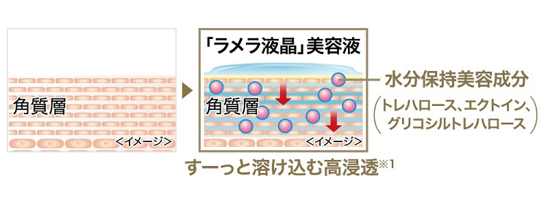 油分と水分を層状に重ねた「ラメラ液晶」を実現
