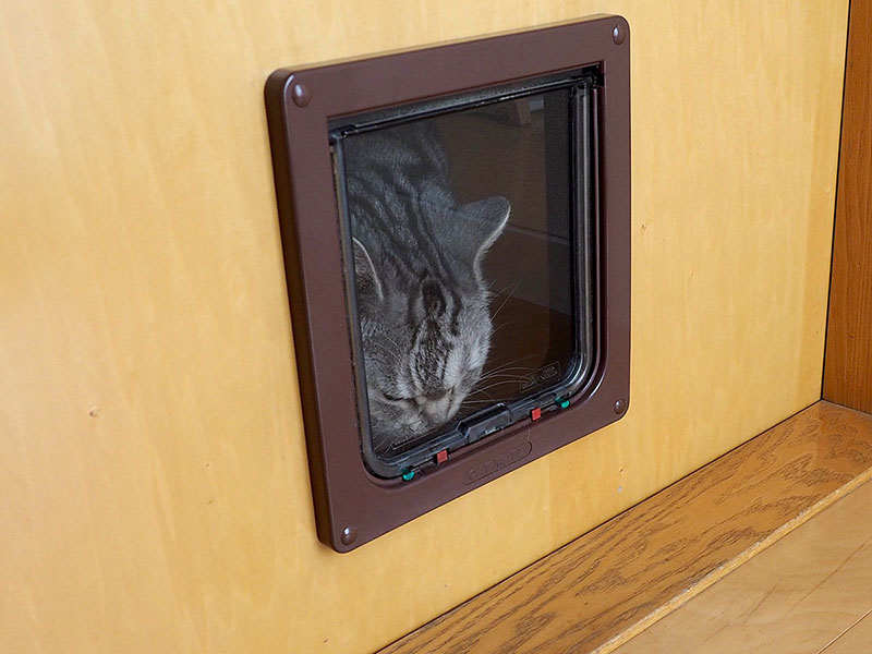 拙宅猫「とろ」が猫ドアを使う様子。頭突きするように頭でドアを押します