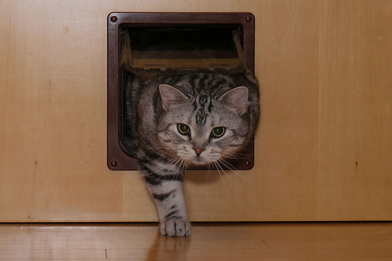 難なくドアを押し開けます