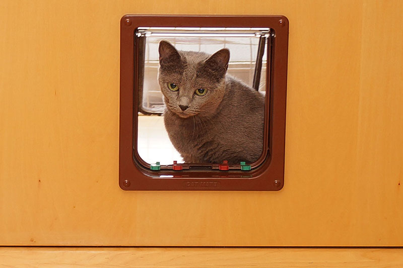 でも「うか」の場合……わかりますか？　こんな通り方もします