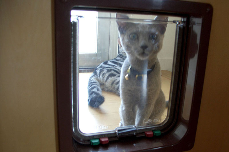これは猫ドアをロックした様子。猫は部屋に入ってこられません。ロック機構は掃除のときなどにも便利です