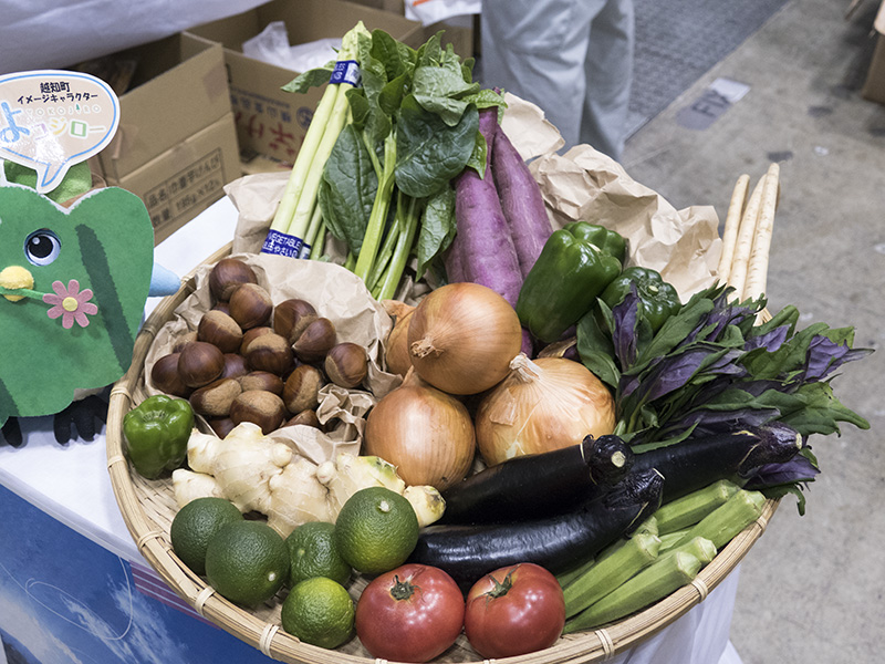 新鮮な「季節の野菜セット」