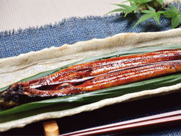 「鰻」もいろいろ用意されています