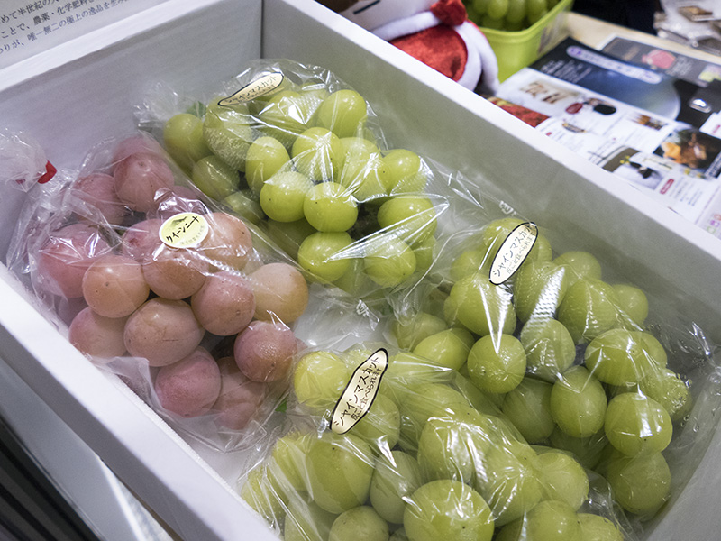 甘みののった「ぶどう」も人気