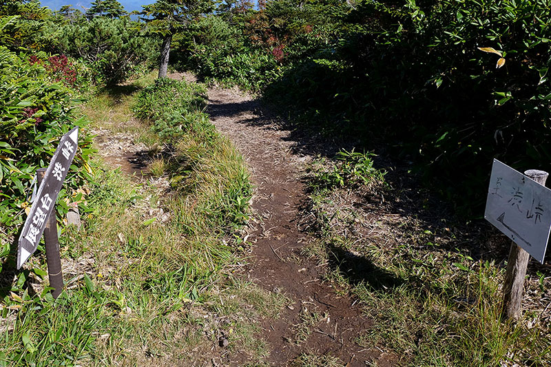 歩いて下山することもできます