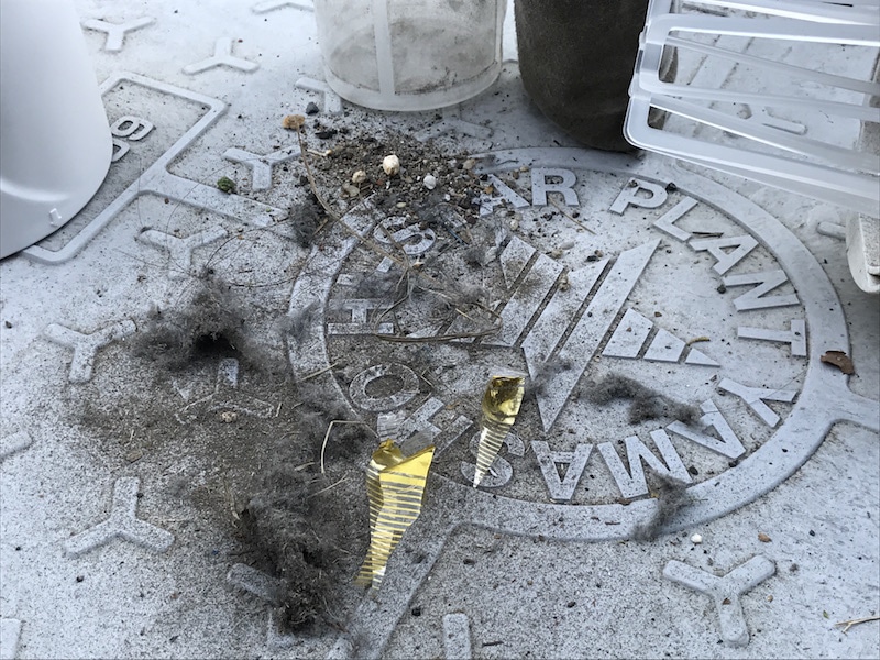 ホコリや毛のほか、砂利やお菓子のカスが大量に出てきた